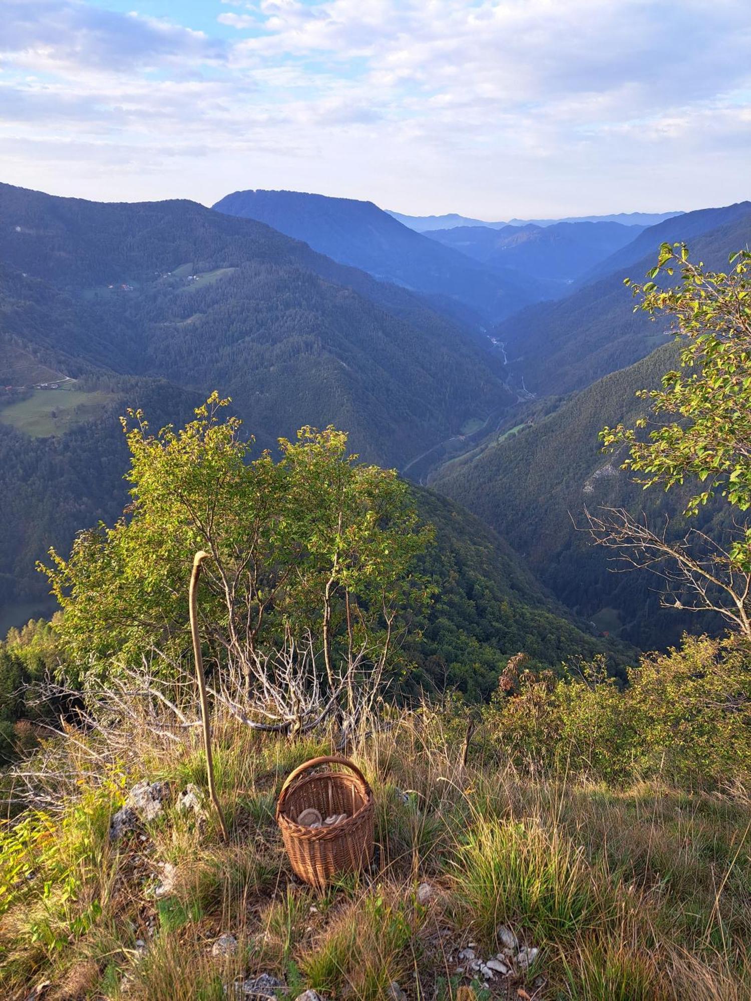 Podbrdo Hikers Hut Hisar 아파트 외부 사진